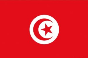 Flagge Tunesien 20 x 30 cm