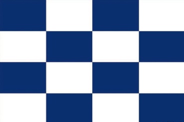 Flagge Buchstabe N 20 x 30 cm