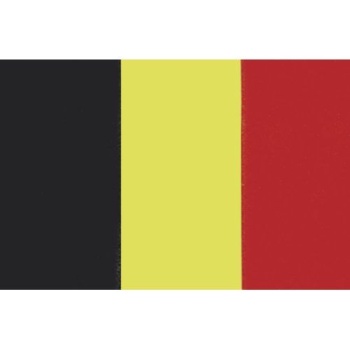 Belgische Flagge 20x30cm