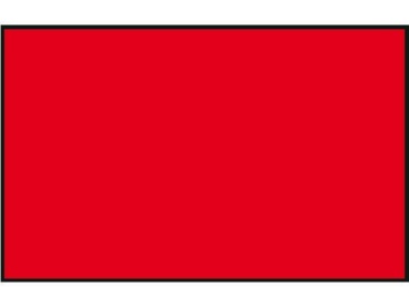 PROTESTFLAGGE 20X30CM