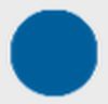 PLASTIMO ANTIFOULING CLASSIC 0,75 L BLUE