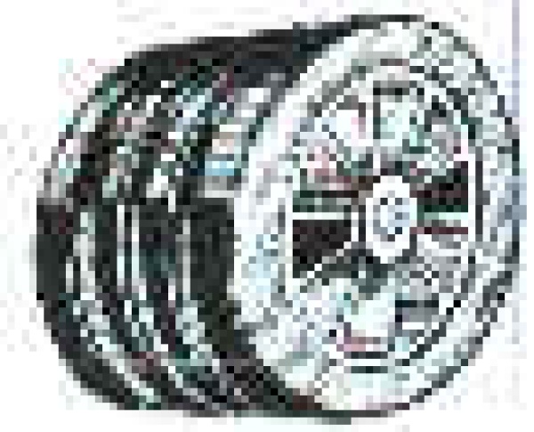 Seitenrolle 120 mm