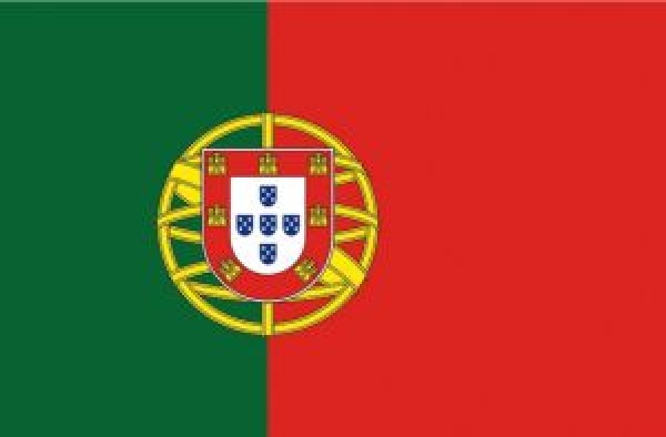 Flagge Portugal 40 x 60 cm
