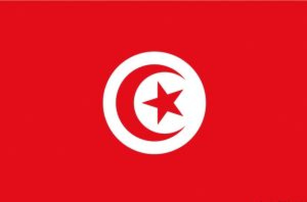 Flagge Tunesien 20 x 30 cm