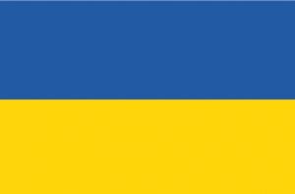 Flagge Ukraine 20 x 30 cm