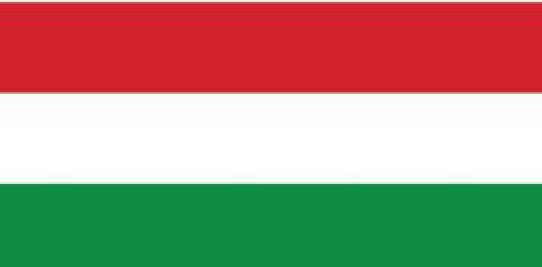Flagge Ungarn 40 x 60 cm