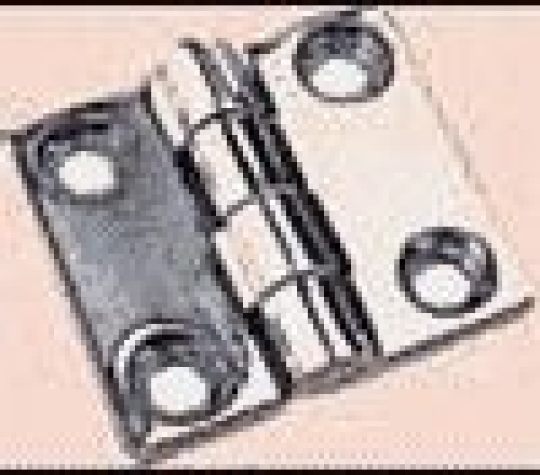 Scharnier, herausragender 5mm AISI316 38x38 mm