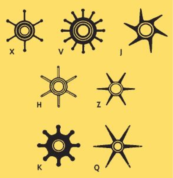 Impeller - Jabsco