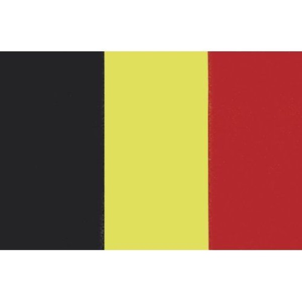 Belgische Flagge 20x30cm