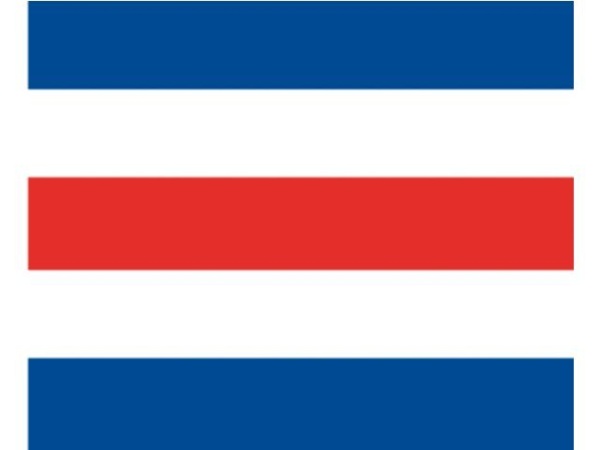 SIGNALFLAGGE C 30X36CM