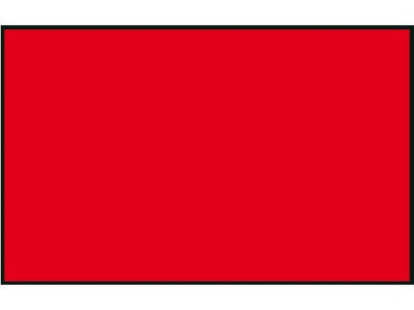 PROTESTFLAGGE 20X30CM