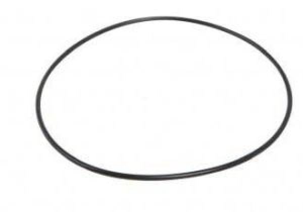O-ring slijtplaat (37010)