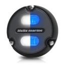 Hella Apelo A1 weiß/blau, anthrazit