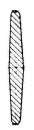 Segellatte 40x4 mm x 2 m