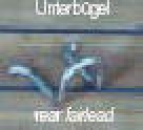 UNTERBÜGEL F. SERVO 11