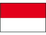 FLAGGE ROT/WEISS 70X100