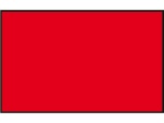 PROTESTFLAGGE 20X30CM